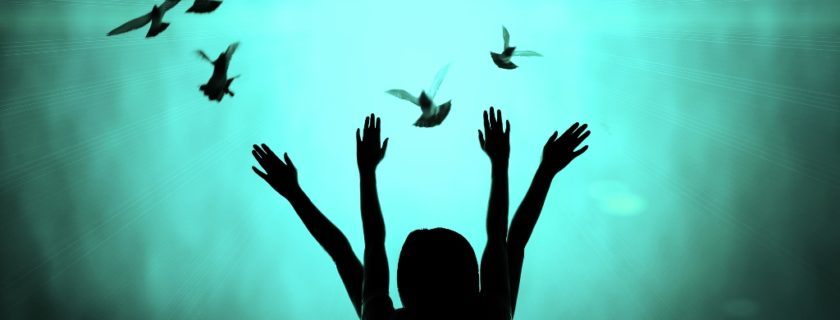 Silhouette of girl and dove, freedom and peace concept